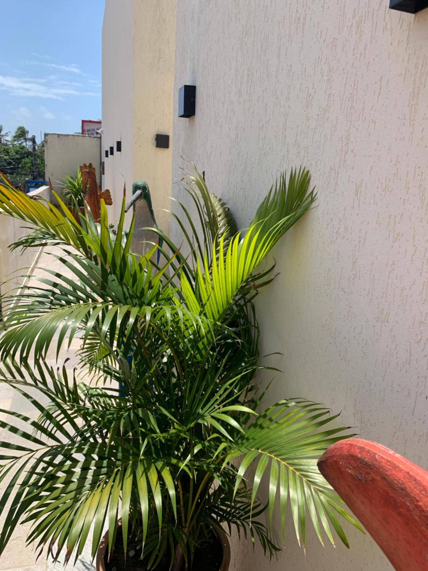 Villa Peixe Na Telha ปอร์โต จิ กาลินญาส ภายนอก รูปภาพ