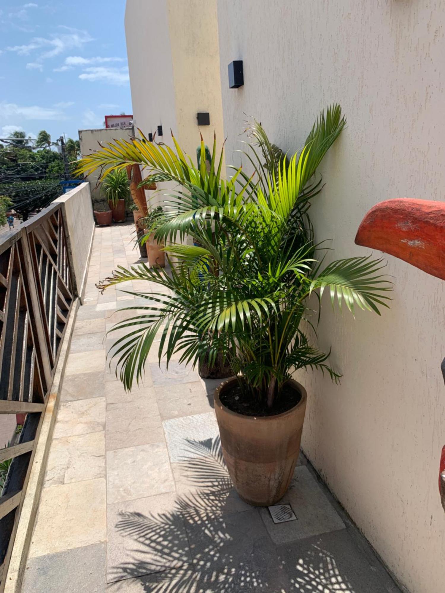 Villa Peixe Na Telha ปอร์โต จิ กาลินญาส ภายนอก รูปภาพ